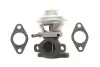Клапан EGR Fiat Ducato 2.3D 06- 48393
