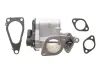 Клапан EGR Renault Megane II/Laguna II/Scenic II 1.9dCi 03- 48395