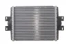 Радиатор охлаждения BMW 3 (F30/F80) 11-18 N20/N26/N57 NRF (550241) изображение 5