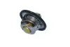 Фото Термостат системи охолодження (75°C) RENAULT CLIO III 2.0 02.06-12.14 NRF (725089) зображення 3