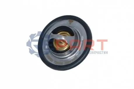 Термостат системи охолодження (75°C) RENAULT CLIO III 2.0 02.06-12.14 NRF 725089 Купити в Україні