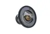 Фото Термостат Nissan Pick Up 2.5D/TD 98-05/Mitsubishi L300 2.5TD 87-04 (76°C) NRF (725131) зображення 4