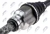 CITROEN JUMPER 15-, PEUGEOT BOXER 15- PRAWA,MTM NTY (NPW-CT-164) зображення 3