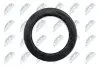 Підшипник амортизатора (переднього) опорний Ford Focus 98-/Connect 02-13 NTY (ADFR029) зображення 3