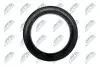 Підшипник амортизатора (переднього) опорний Ford Focus 98-/Connect 02-13 NTY (ADFR029) зображення 4
