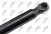 АМОРТИЗАТОР (ГАЗОВА ПРУЖИНА) | L=300MM, F=730N AUDI A6 04-11 NTY (AE-AU-019) зображення 3