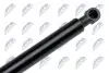 АМОРТИЗАТОР (ГАЗОВА ПРУЖИНА) | L=581MM, F=295N FORD FIESTA 17 NTY (AE-FR-054) зображення 3