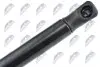 АМОРТИЗАТОР (ГАЗОВА ПРУЖИНА) | L=448MM, F=590N PEUGEOT 206 CC 00-10 NTY (AE-PE-015) зображення 3