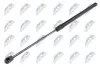 АМОРТИЗАТОР (ГАЗОВА ПРУЖИНА) | L=507MM, F=270N SUZUKI SWIFT 10 NTY (AE-SU-001) зображення 1