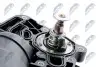 Корпус фільтра масляного VW Touareg/Audi Q7 3.0 TDI 07-18 NTY (CCLAU016) зображення 5