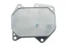 Прокладка корпуса фільтра масляного Ford Transit 2.2 TDCI 06- (OE FORD) NTY (CCL-FR-001) зображення 3