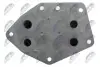 РАДІАТОР МАСЛЯНИЙ | ENG 0.9 FIAT 500, 500 C, 500L 2012-, PANDA 2012-, PUNTO 2013-,ALFA ROMEO MITO 11-18 LANCIA YPSILON 2011 NTY (CCL-FT-007) зображення 5