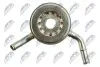 РАДІАТОР МАСЛЯНИЙ | NISSAN JUKE 1.6 2010-, NISSAN QASHQAI 1.6 2010 NTY (CCL-NS-005) зображення 5