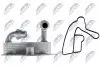 Фото РАДІАТОР МАСЛЯНИЙ | OPEL COMBO 1.6CDTI 2012-,FIAT BRAVO 1.6JTD 2008-,DOBLO 1.6JTD 2010-,LANCIA DELTA 1.6JTD 2008- NTY (CCL-PL-006A) зображення 3