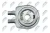 Фото РАДІАТОР МАСЛЯНИЙ | RENAULT KANGOO 1.9DCI /4X4 01-, KAPTUR 2.0 4WD 16-, LAGUNA I/II/III 1.9DCI, 2.0 16V 97-15, MEGANE 1.9DCI 96-, OPEL VIVARO 1.9DI/DTI 01-, SUZUKI GRAND VITARA II 1.9DDIS 05-15, MITSUBISHI CARISMA 1.9DI-D 96-06, NTY (CCL-RE-006) зображення 4
