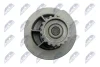 Насос рідини системи охолодження | DAEWOO NEXIA DOHC 95-, ESPERO DOHC 95-, LANOS DOHC 97- NTY (CPWDW003) изображение 5