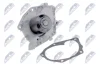 Насос рідини системи охолодження | NISSAN PRIMERA 1.9DCI 03-, RENAULT LAGUNA 1.9DCI 05-, MEGANE 1.9DCI 02- NTY (CPWNS073) изображение 2