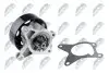 Помпа води Renault Laguna III/Megane III/Scenic III/Nissan X-Trail/Qashqai 2.0 16V 07 NTY (CPW-NS-086) зображення 1