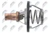 Фото ТЕРМОСТАТ | RENAULT CLIO 98-, LAGUNA 98-, KANGOO 97-, MEGANE 95-, TRAFIC 01-, THALIA 00-, ESPACE 98-, VEL SATIS 02-, DACIA LOGAN 04-, SANDERO 08-, DUSTER 10- NTY (CTM-RE-011) зображення 3