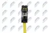 СПИРАЛЬ (КОНТАКТНАЯ ГРУППА) ПНЕВМОПОДУШКИ NTY (EAS-MS-005) изображение 8