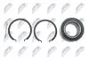 Фото Підшипник маточини (передньої) Nissan Almera Tino 00-06/Primera 02-/X-Trail 01-13 (43x76x43) NTY (KLPNS037) зображення 3