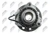 Фото Підшипник маточини (передньої) Opel Vectra 02-08/Signum 03-08(+ABS) NTY (KLPPL021) зображення 5