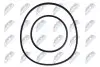РЕМКОМПЛЕКТ ВАКУУМНОГО НАСОСУ | BMW 1 E81/E87 118/120 2004-,3 E46 316/318 2001-,3 E90/E91 318/320 2005-,5 E60 520 2007-,X3 E83 2.0 2005 NTY (PVP-BM-000) зображення 1