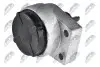 ПОДУШКА ДВИГУНА | FORD FOCUS I CAK 1.6,1.8,2.0 98-05, FORD TRANSIT/TURNEO CONNECT 1.8 02- /ПРАВ/ NTY (ZPSFR004) зображення 2