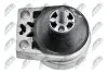 ПОДУШКА ДВИГУНА | FORD FOCUS I CAK 1.6,1.8,2.0 98-05, FORD TRANSIT/TURNEO CONNECT 1.8 02- /ПРАВ/ NTY (ZPSFR004) зображення 4