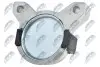 Подушка двигуна (R) Ford Connect 02 NTY (ZPSFR030) зображення 2