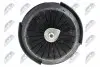 ПОДУШКА ДВИГУНА | INFINITI FX35/FX37/FX50 (S51) 2008-, INFINITI EX35/EX37 07-, INFINITI G35 (V36) 06-, INFINITI G37 (CV36) 07-, NISSAN SKYLINE V36 06- /ПЕРЕД/ NTY (ZPSNS064) зображення 4