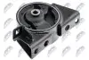 Фото ПОДУШКА ДВИГУНА | NISSAN PRIMERA P12 01-07, X-TRAIL T30 00-06, SERENA C24 99-04, SENTRA B15 01-06 /ПЕРЕД/ NTY (ZPS-NS-069) зображення 2