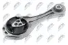 Подушка двигуна (задня) Renault Megane II/Kangoo 1.4-1.6/1.5 dCi 02- (косточка) NTY (ZPS-RE-055) зображення 1