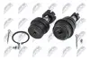 Опора кульова (передня/зверху) Jeep Cherokee/Grand Cherokee 84-05/Wrangler 88- (d=18.2/d2=41.7mm) NTY (ZSDCH003) зображення 2