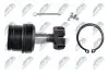 Опора кульова (передня/знизу) Jeep Cherokee/Grand Cherokee 84-05/Wrangler 88- (d=41.6mm) NTY (ZSD-CH-003A) зображення 5