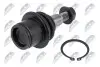 ШАРОВА ОПОРА ПІДВІСКИ | LAND ROVER DISCOVERY III/IV 05-, RANGE ROVER SPORT I/II 05- /ПЕРЕД НИЗ/ NTY (ZSD-LR-001) зображення 2