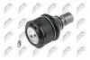 Опора кульова (передня/знизу) Mazda 5 05-/Tribute 00-08 (d=18mm/42.45mm) NTY (ZSD-MZ-013) зображення 2
