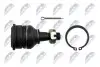 Опора кульова (передня/знизу) Nissan Almera/Sunny 90-00 NTY (ZSD-NS-010) зображення 3