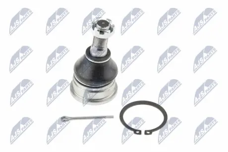 Опора кульова (передня/знизу) Nissan Primera/Almera Tino 00 NTY ZSD-NS-025