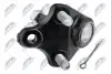 ШАРОВА ОПОРА ПІДВІСКИ | TOYOTA COROLLA 100 92-, CARINA E 92-, AVENSIS 97-, CELICA 93-99, PRIUS 09- /ПЕРЕД НИЗ/ NTY (ZSD-TY-009) зображення 2
