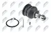 ШАРОВА ОПОРА ПІДВІСКИ | TOYOTA AVENSIS VERSO 01-04, PICNIC 01- /ПЕРЕД НИЗ/ NTY (ZSD-TY-029) зображення 1