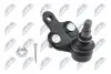 ШАРОВА ОПОРА ПІДВІСКИ | TOYOTA CAMRY ACV3#/MCV3# 01-06, SIENNA 03-, PREVIA 2.4I, 2.4TDI 16V 00.02-, HIGHLANDER 00-07 /ПЕРЕД НИЗ ЛІВ/ NTY (ZSD-TY-050) зображення 1