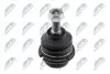 Опора кульова (передня/зверху) Citroen C5 III 08-/C6 05-12/Peugeot 407 04 NTY (ZSGPE001) зображення 1