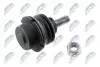 Опора кульова (передня/зверху) Citroen C5 III 08-/C6 05-12/Peugeot 407 04 NTY (ZSGPE001) зображення 3
