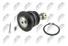 ШАРОВА ОПОРА ПІДВІСКИ | TOYOTA FJ CRUISER GSJ10/15 06-, LANDCRUISER 100/120/150/200 98-, /ПЕРЕД ВЕРХ/ NTY (ZSG-TY-015) зображення 2