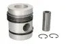 Поршень (діаметр 98,48мм, STD) URSUS 3110 ALBAJAR 10, 420, 4420, 4480, 5000 AVELING-BARFORD 112, 150, 175, 185, 200, 230, AM100A, LG, LG3, PM, TS150, TS175, TS185, TS200, TS230 BROYT X20, X21 NURAL (8752520000) зображення 1