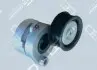 Натяжное устройство (OM457/OM460) OE Germany (012050400002) изображение 1