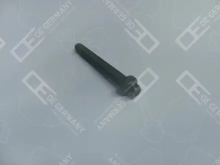 Болт голівки циліндра FENDT 309 VARIO 2WD, 309 VARIO 4WD, 310 VARIO 2WD, 310 VARIO 4WD, 311 VARIO 2WD, 311 VARIO 4WD, 312 VARIO 4WD, 313 VARIO, 512 VARIO, 513 VARIO, 514 VARIO, 516 VARIO OE Germany 040121101201