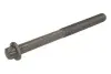 Болт голівки циліндра DEUTZ FAHR 9290 TTV, 9310 TTV, 9340 TTV, X 710, X 720, X 730 RVI 160.08, 160.10, 160.12, 190.08, 190.10, 190.12, 190.13, 190.14, 190.16, 220.08, 220.10, 220.12, 220.13 OE Germany (040121201301) зображення 1
