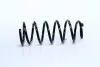 Пружина підвіски, задня 553301C011 (пр-во ONNURI) GSCH016